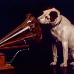 voice